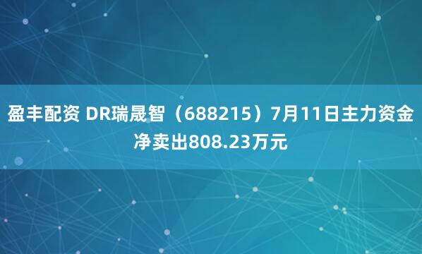 盈丰配资 DR瑞晟智（688215）7月11日主力资金净卖出808.23万元