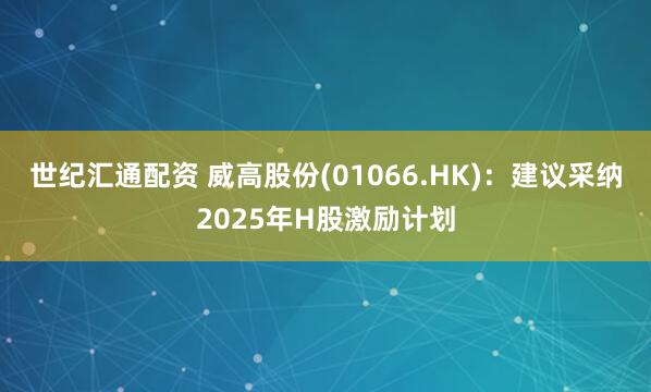 世纪汇通配资 威高股份(01066.HK)：建议采纳2025年H股激励计划