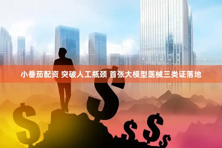 小番茄配资 突破人工瓶颈 首张大模型医械三类证落地